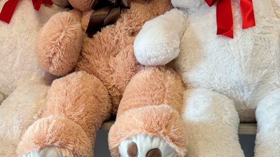 3ft Teddy Bear